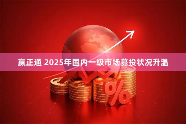 赢正通 2025年国内一级市场募投状况升温
