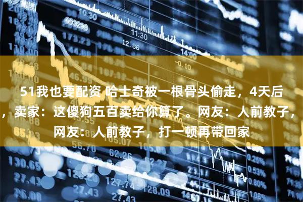 51我也要配资 哈士奇被一根骨头偷走，4天后在菜市场遇到它，卖家：这傻狗五百卖给你算了。网友：人前教子，打一顿再带回家