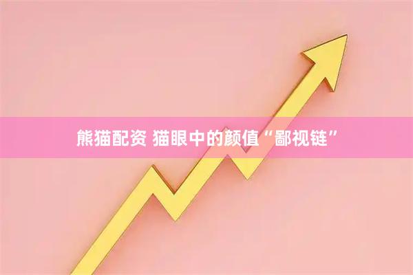 熊猫配资 猫眼中的颜值“鄙视链”