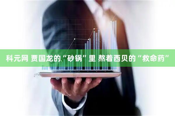 科元网 贾国龙的“砂锅”里 熬着西贝的“救命药”
