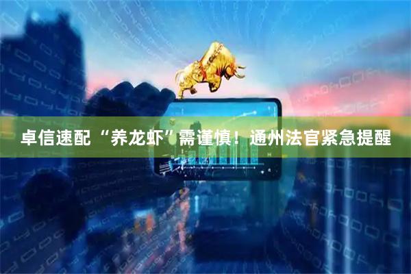 卓信速配 “养龙虾”需谨慎！通州法官紧急提醒