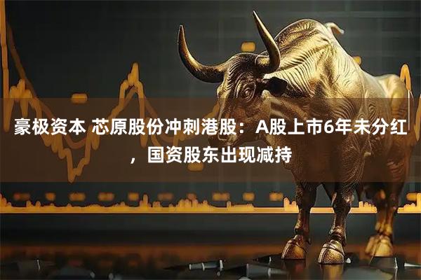 豪极资本 芯原股份冲刺港股：A股上市6年未分红，国资股东出现减持